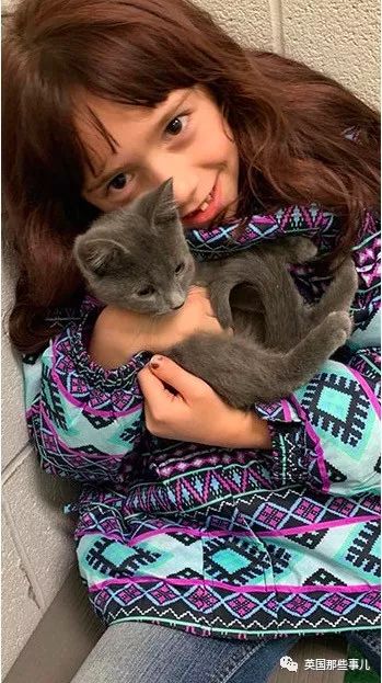 不开心就看看搞笑的视频,不开心不如开心