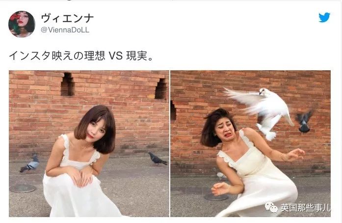 不开心就看看搞笑的视频,不开心不如开心