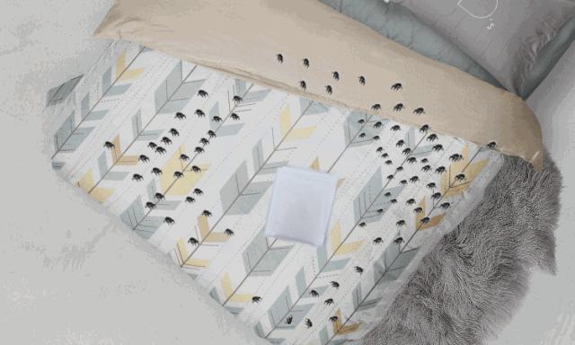 法国Lérane草本净螨贴，萃取天然植物，除螨更安心