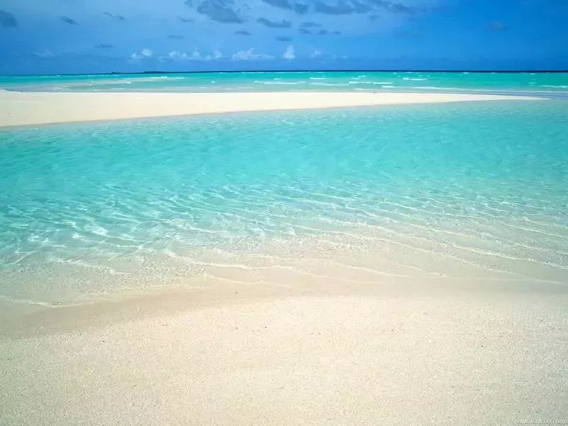 海洋生态环保主题方案,海洋生态环境科普保护宣传视频