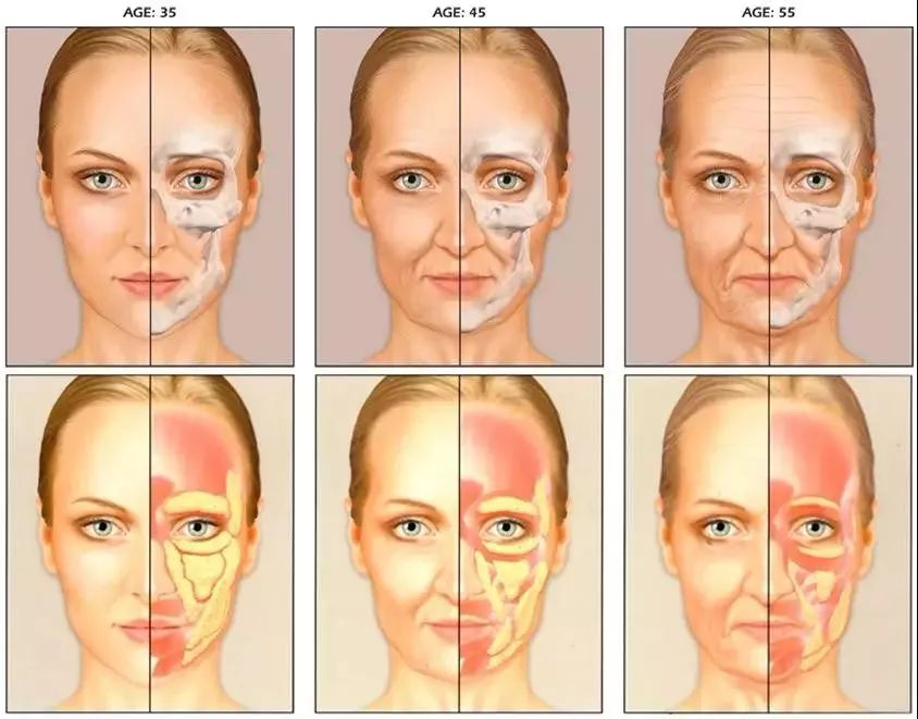 angelababy的早期ins,ins上的angelababy视频