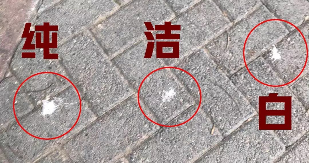 鸟屎为什么有青的,鸟屎为什么是一条条的