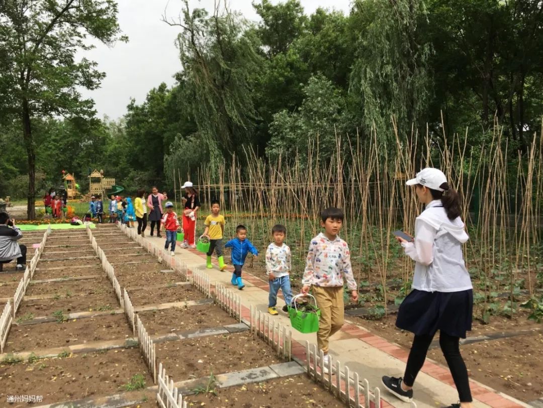 幼儿园免费入园体验,幼儿园免费体验班可以去体验吗