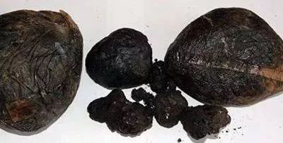 绿色无毒健康人生禁毒主题,垃圾分类和禁毒知识主题手抄报