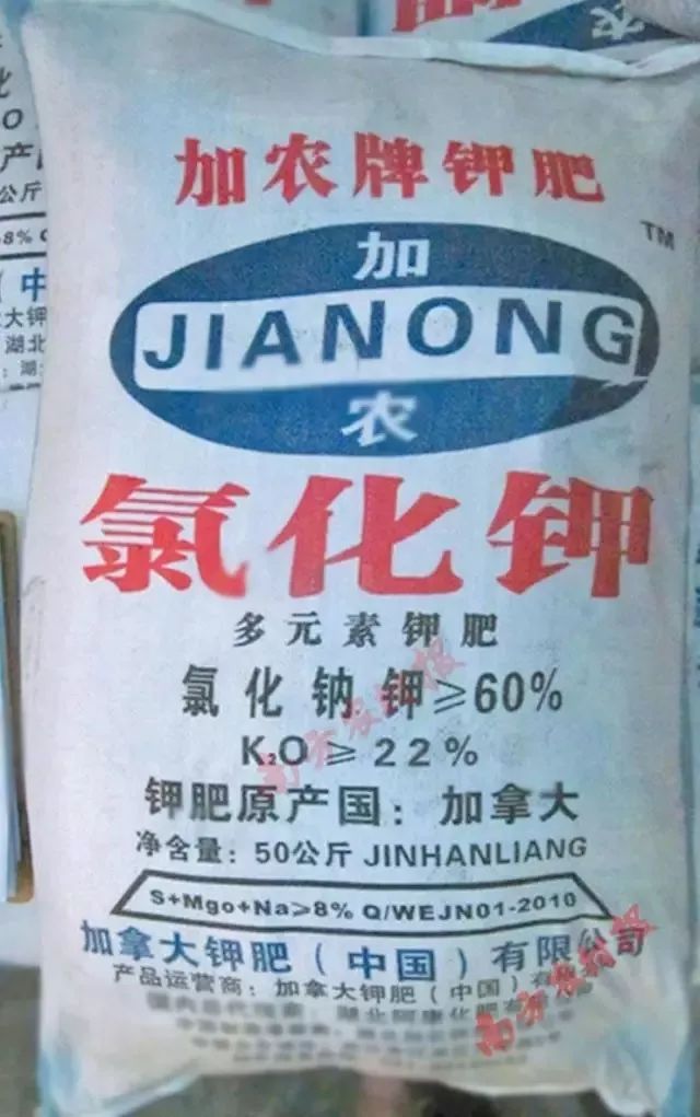 全是假的！这些肥料别再买了，大厂家也不行