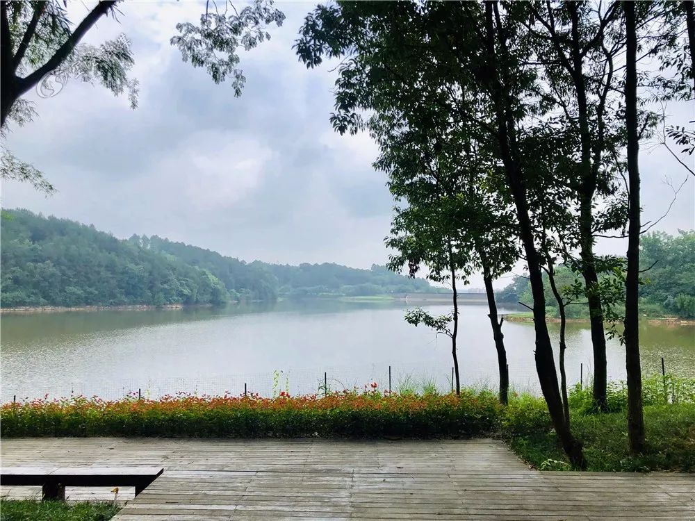 成都双流区旅游省钱攻略推荐,五一在双流适合去哪旅游