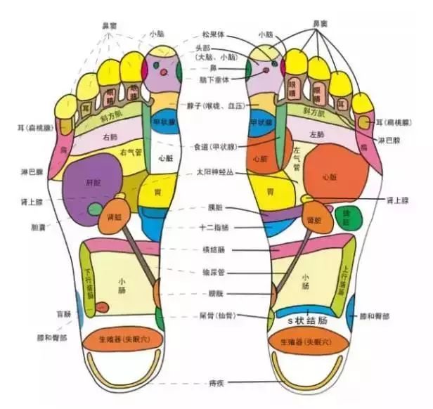 薏米红豆祛湿足贴,祛湿养生足贴推荐