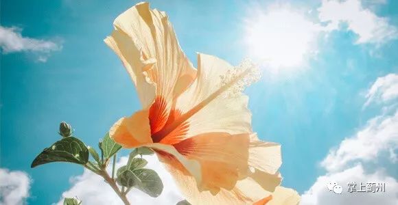 外国旅客在蓟州爬长城,夏天八达岭中暑