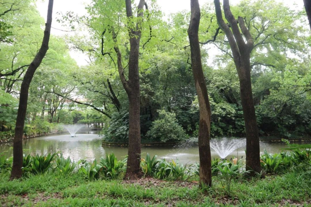 西郊宾馆美如画,西郊宾馆5000平别墅