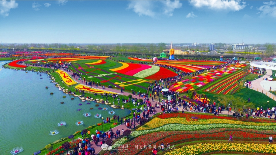 荷兰郁金香花海在哪个地方,盐城大丰荷兰郁金香花海