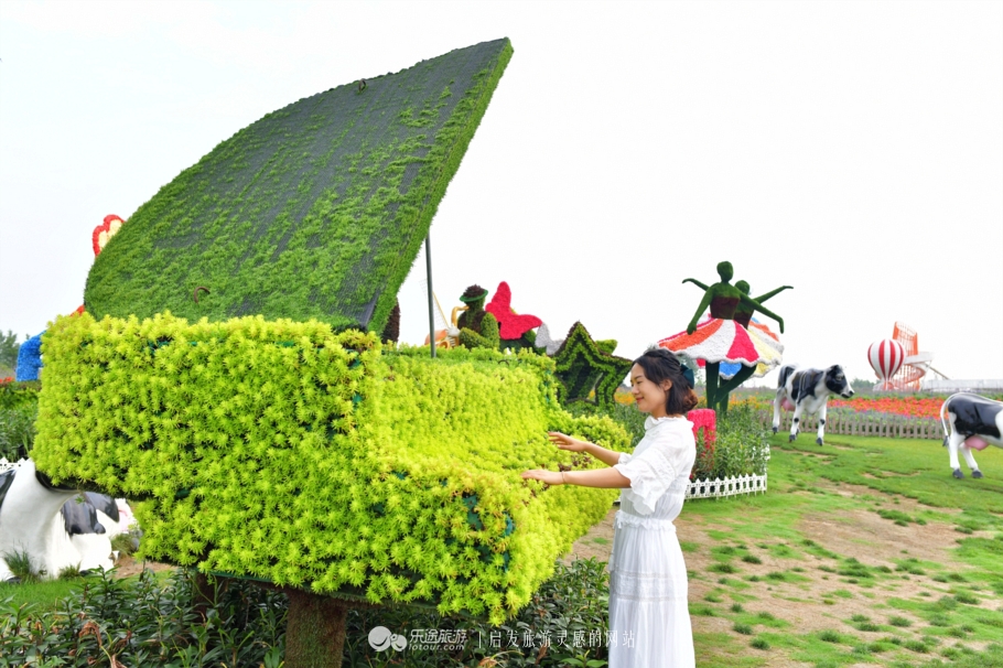 荷兰郁金香花海在哪个地方,盐城大丰荷兰郁金香花海