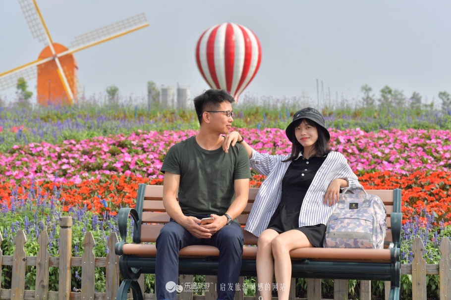 荷兰郁金香花海在哪个地方,盐城大丰荷兰郁金香花海