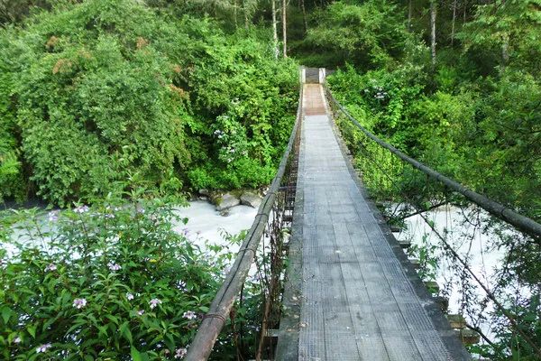 成都附近天然氧吧旅游,成都天然氧吧