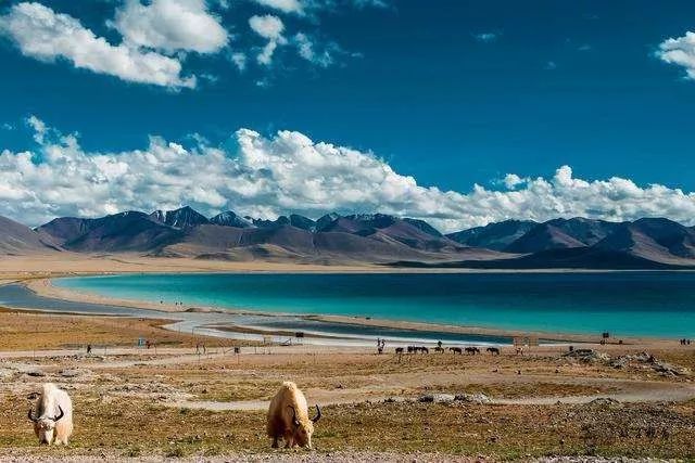 海子的诗大全100首,海子哪首诗写的是爱情