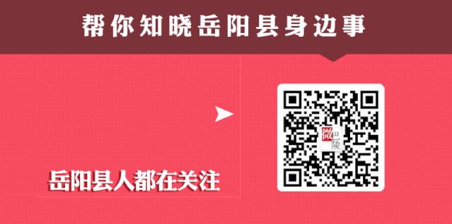 校园足球绿茵赛,绿茵场足球联赛