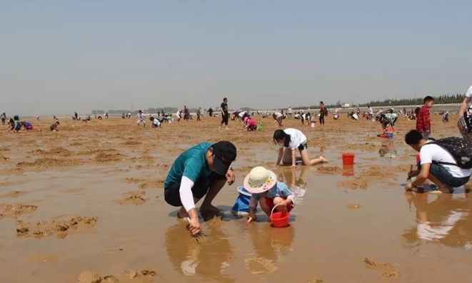日照金山,日照有什么好玩的地方