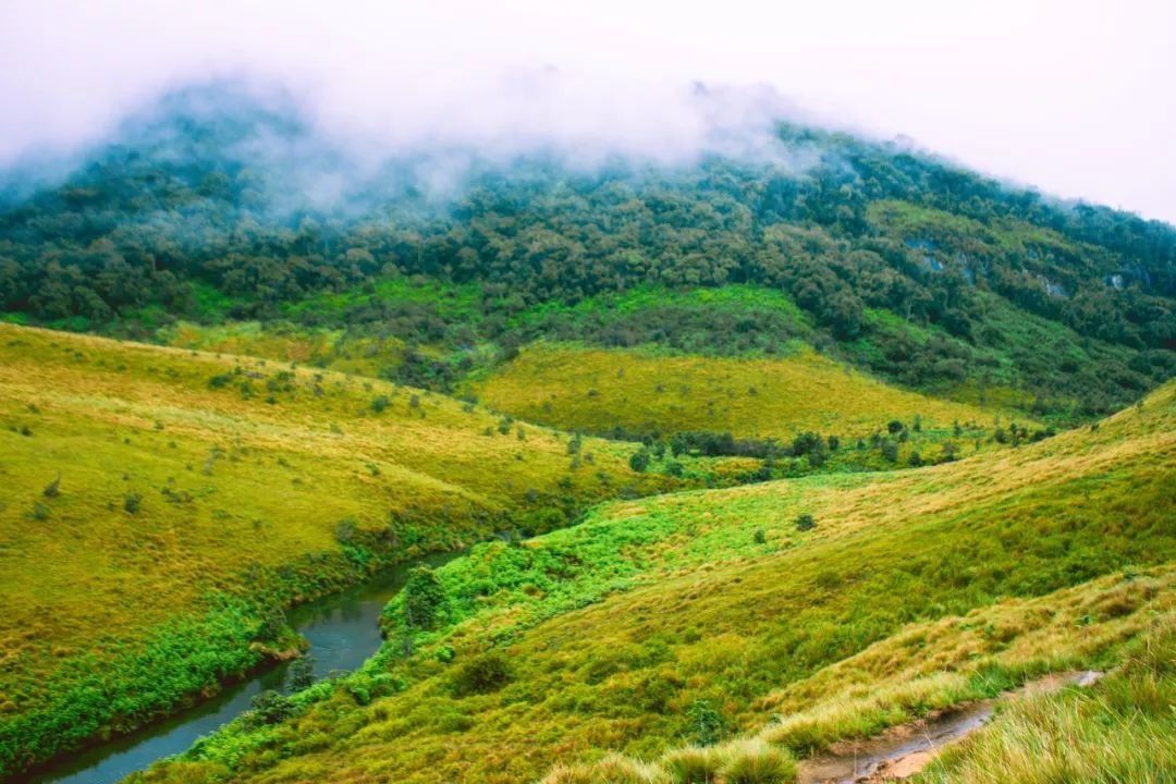 斯里兰卡对中国游客免签30天,斯里兰卡对华限时免签