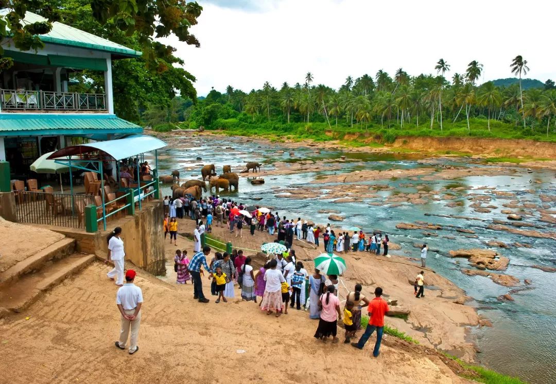 斯里兰卡对中国游客免签30天,斯里兰卡对华限时免签