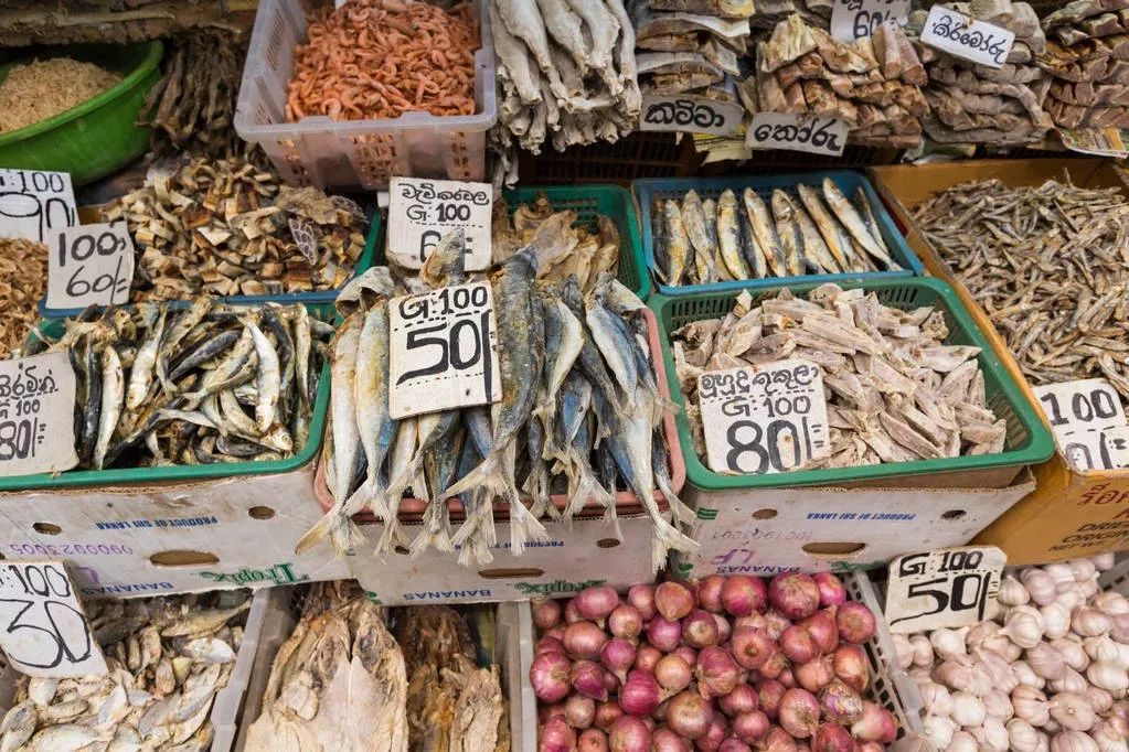 斯里兰卡对中国游客免签30天,斯里兰卡对华限时免签