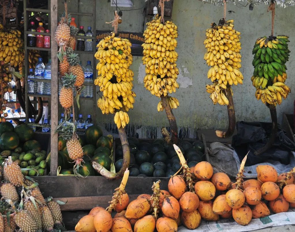 斯里兰卡对中国游客免签30天,斯里兰卡对华限时免签