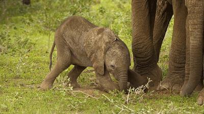 惊掉网友下巴的画面,豆瓣9.1分令人绝望