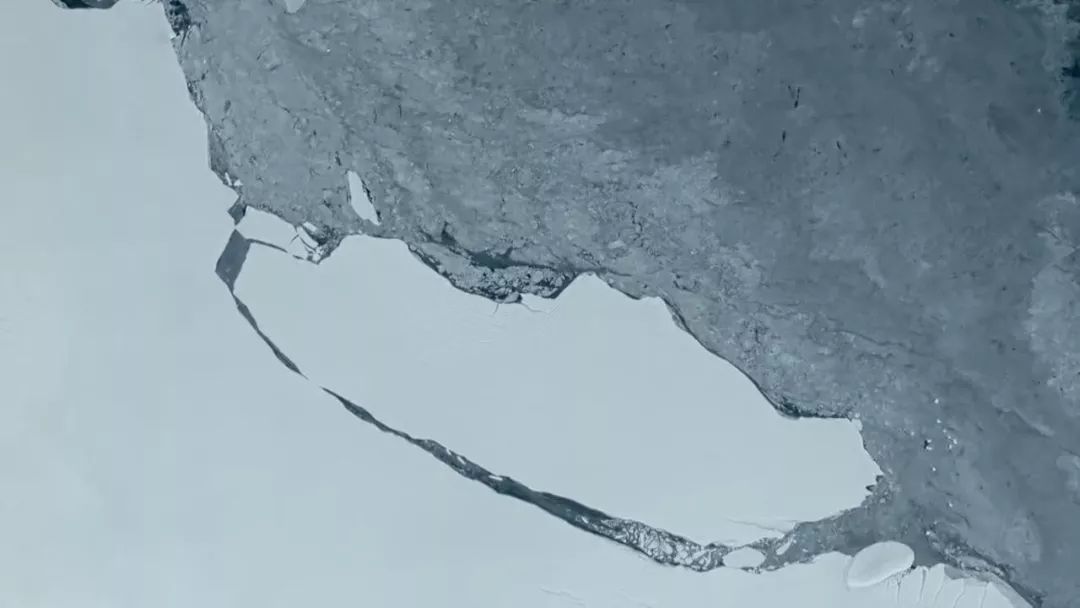 惊掉网友下巴的画面,豆瓣9.1分令人绝望