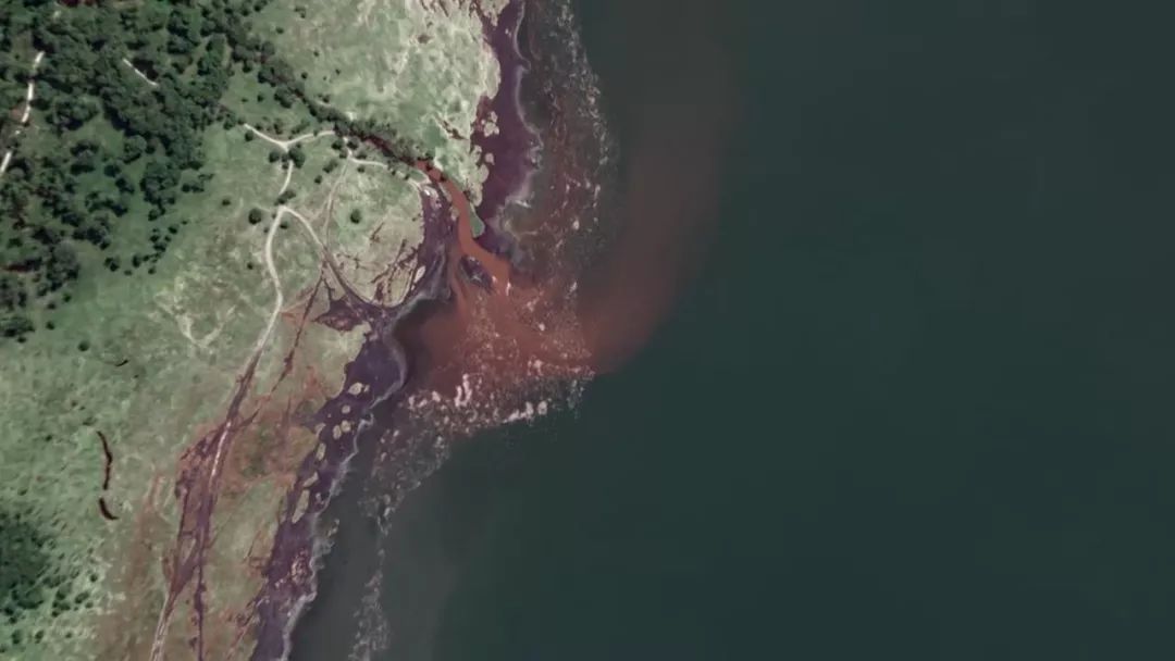 惊掉网友下巴的画面,豆瓣9.1分令人绝望