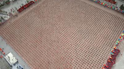 惊掉网友下巴的画面,豆瓣9.1分令人绝望