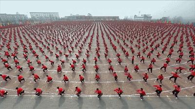 惊掉网友下巴的画面,豆瓣9.1分令人绝望