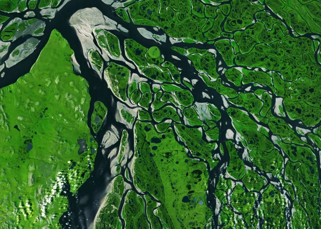 惊掉网友下巴的画面,豆瓣9.1分令人绝望