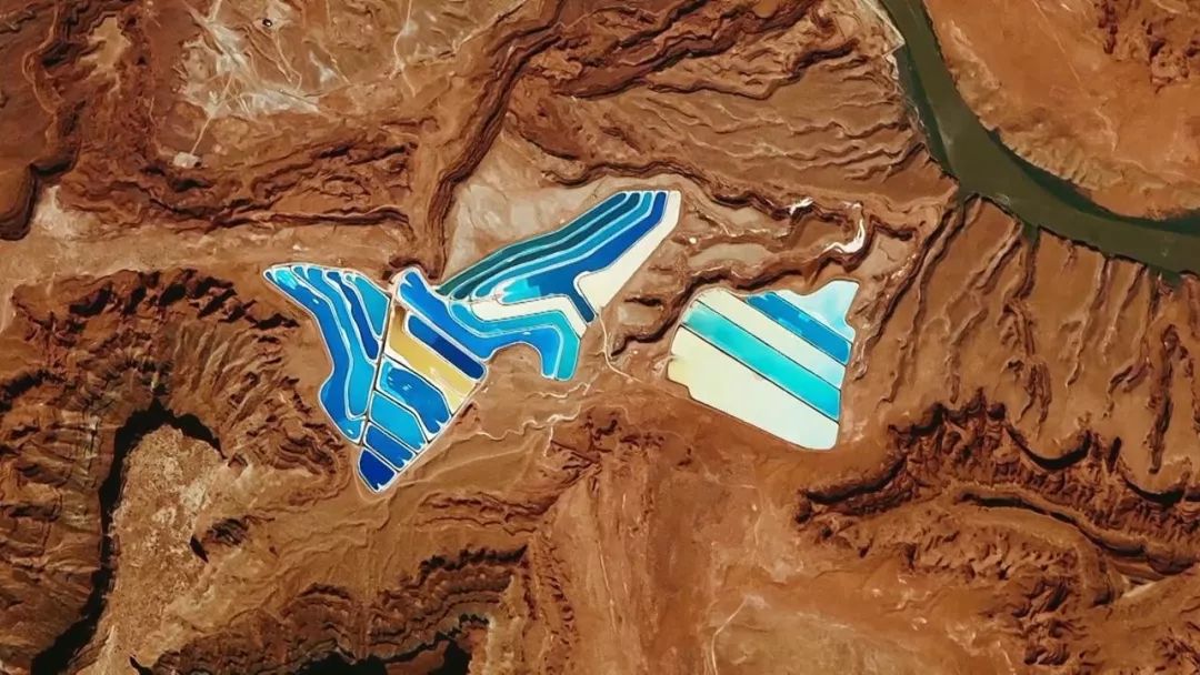 惊掉网友下巴的画面,豆瓣9.1分令人绝望