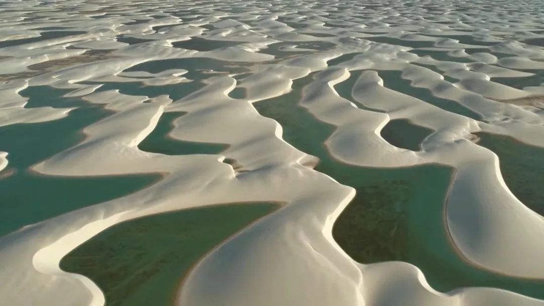 惊掉网友下巴的画面,豆瓣9.1分令人绝望