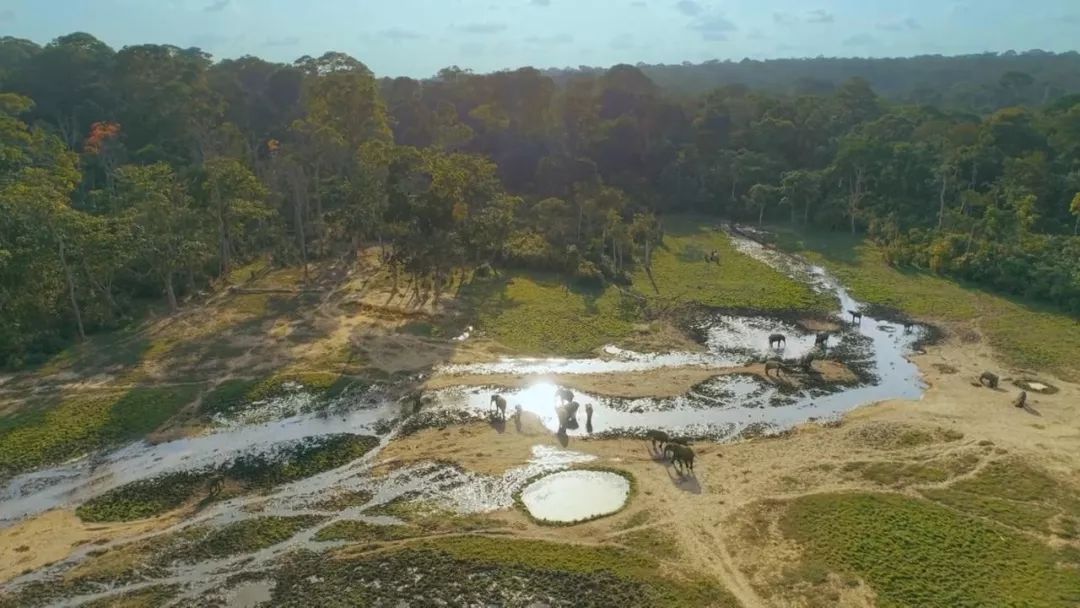 惊掉网友下巴的画面,豆瓣9.1分令人绝望