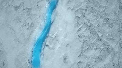 惊掉网友下巴的画面,豆瓣9.1分令人绝望