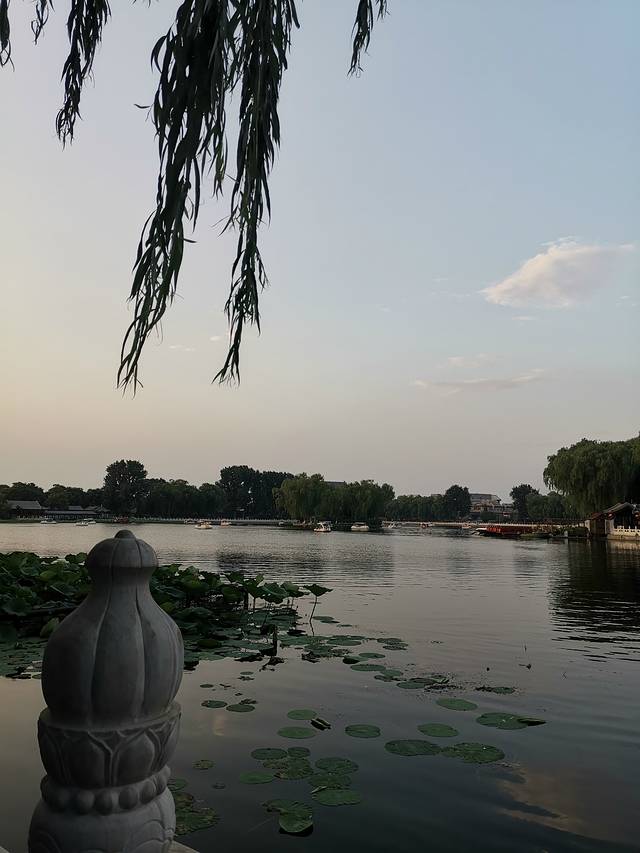 一家老小向前冲3,一家老小向前冲40集免费