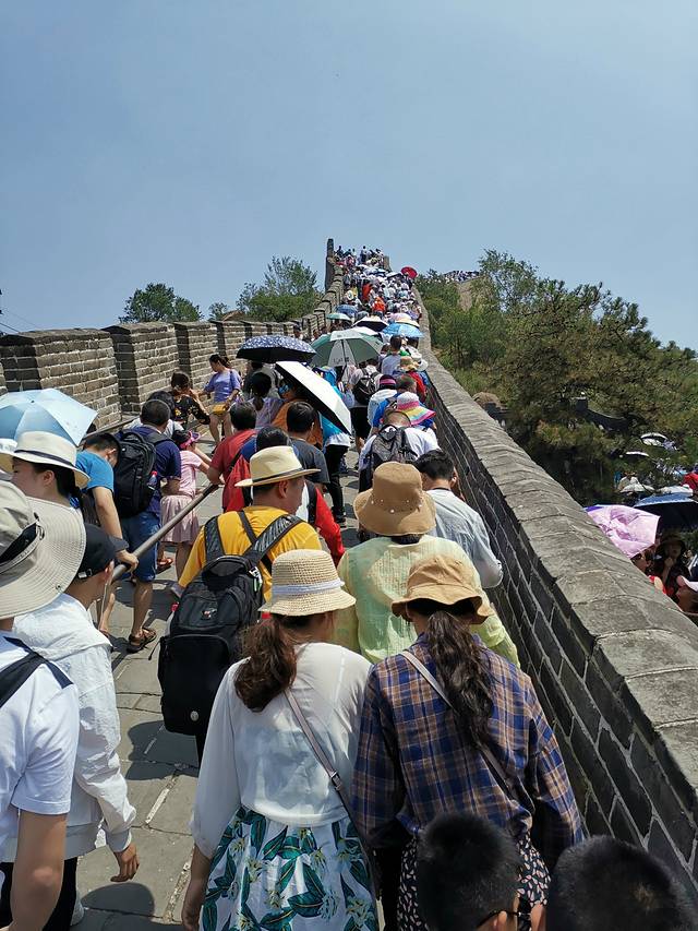 一家老小向前冲3,一家老小向前冲40集免费