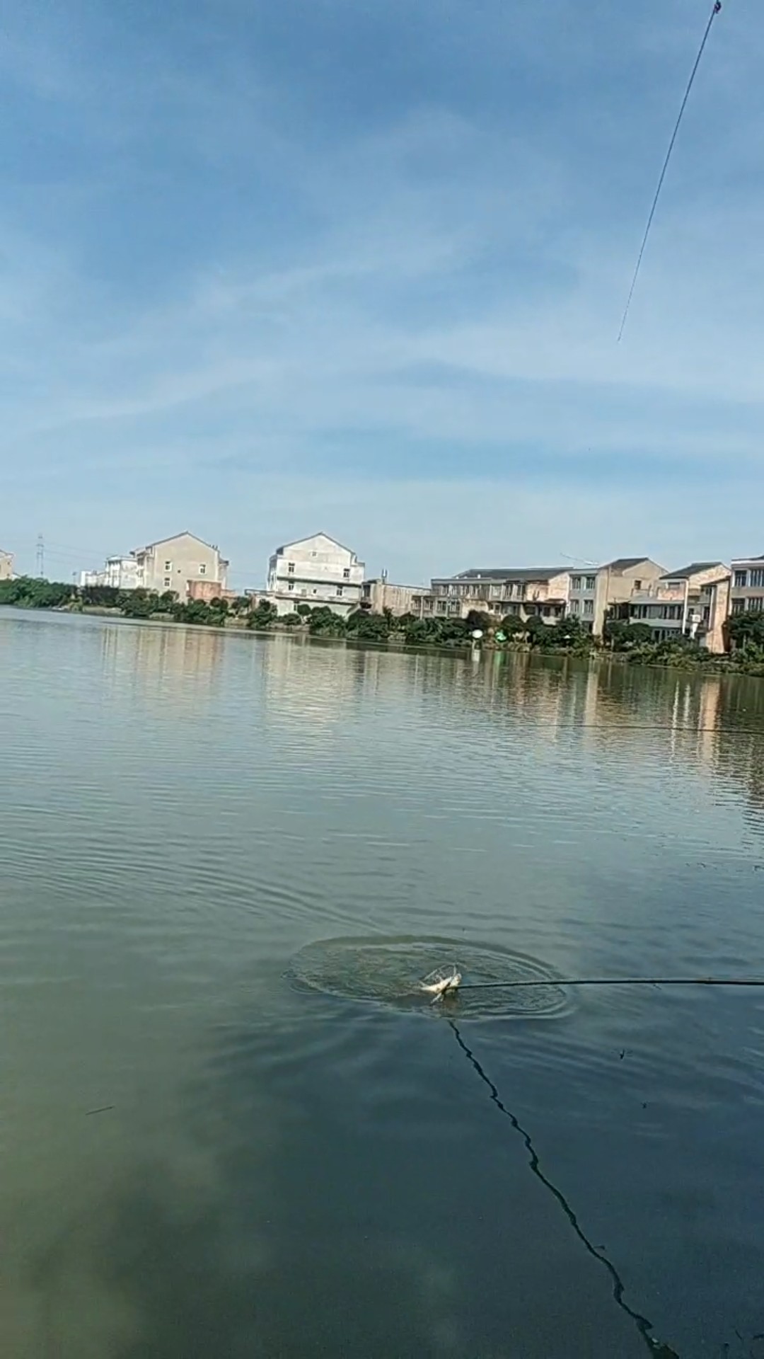 钓鱼享百味人生,钓鱼享乐趣