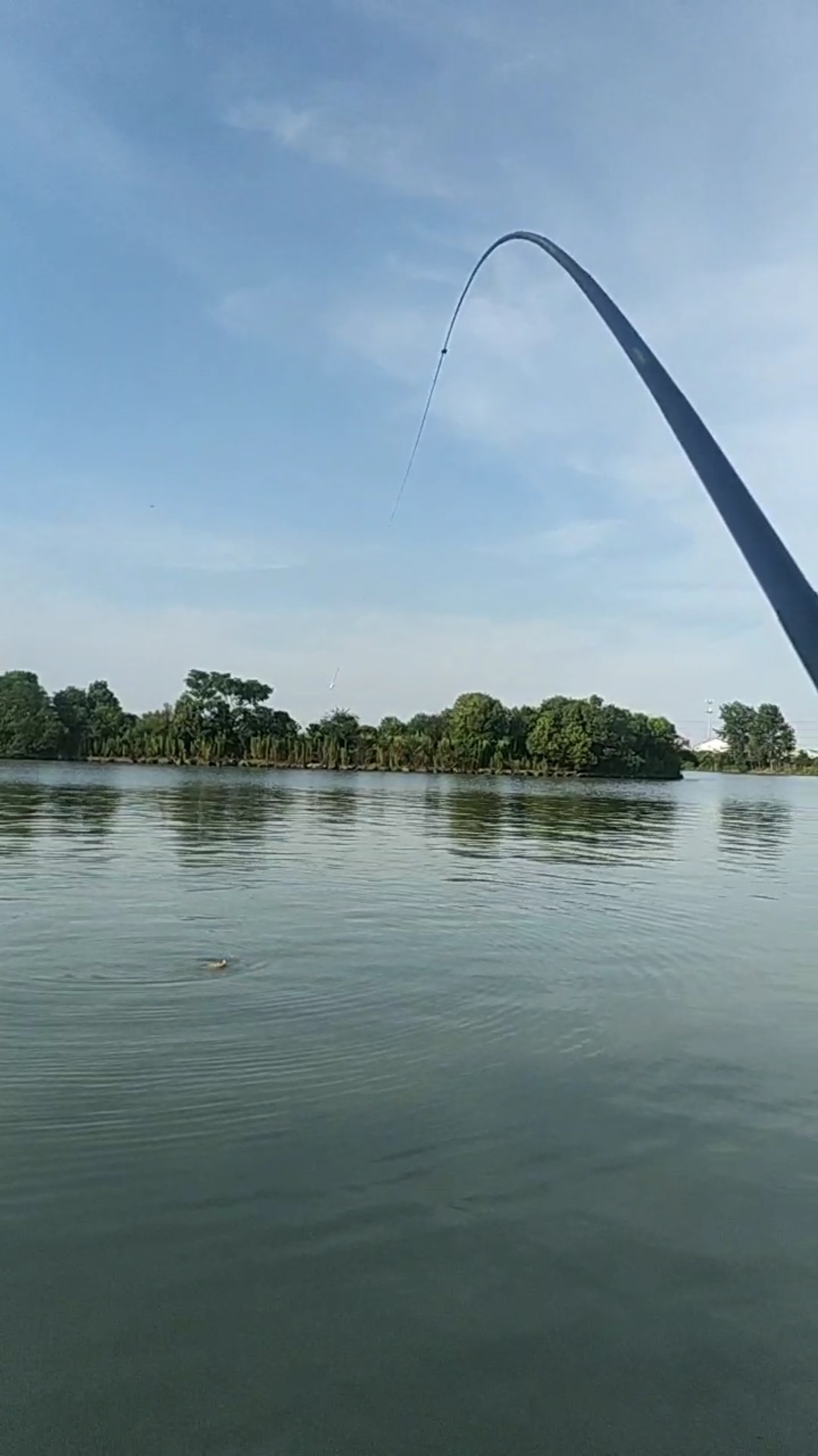 钓鱼享百味人生,钓鱼享乐趣