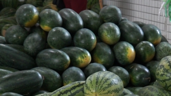 广州市水果市场热闹吗,广州水果市场有杨梅