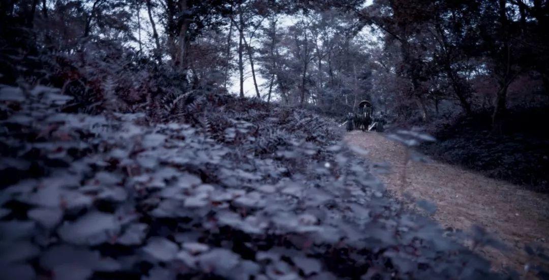 宸汐缘服装设计,宸汐缘创作的原声