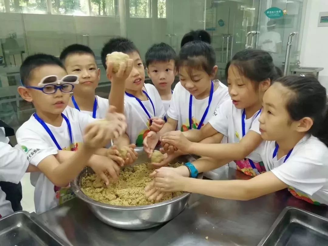 假期游夏令营,夏令营不玩手机