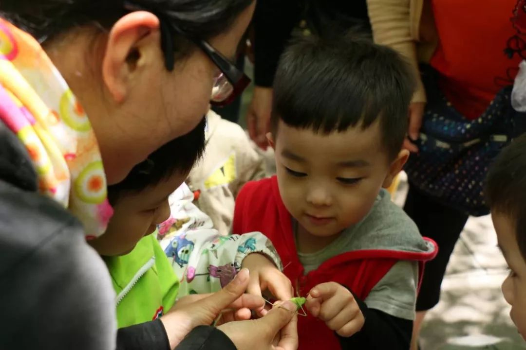 假期游夏令营,夏令营不玩手机