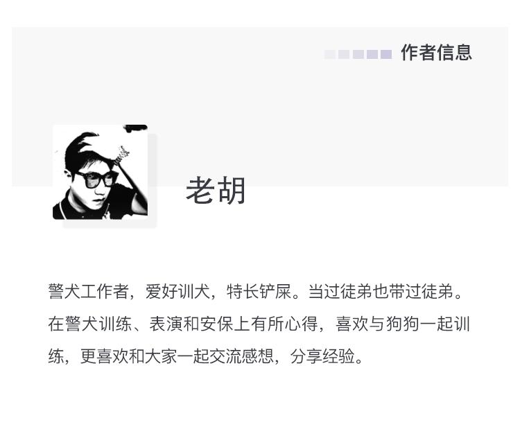 有只狗在乱叫该怎么办,陌生人上楼狗狗乱叫怎么纠正