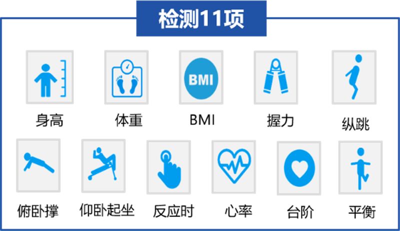 滨海泰达体育场,滨海新区经开区泰达体育场