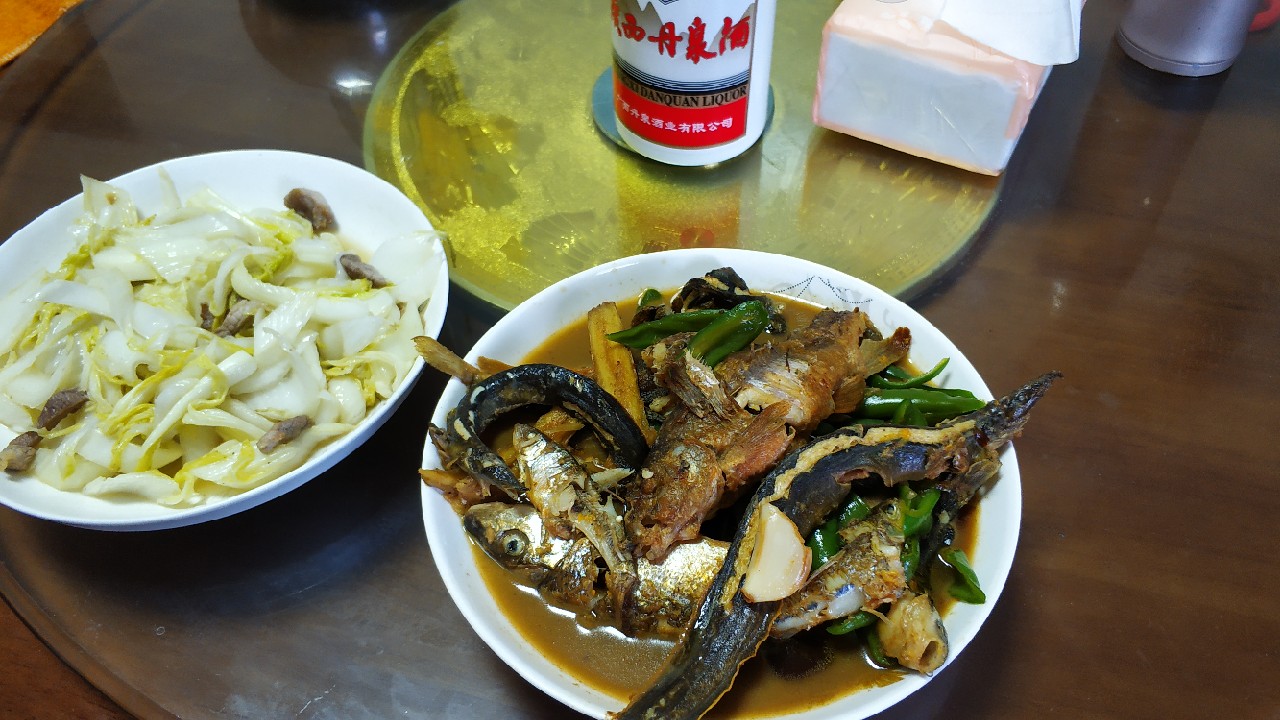 家乡小河里的鱼种,家乡小河里的鱼