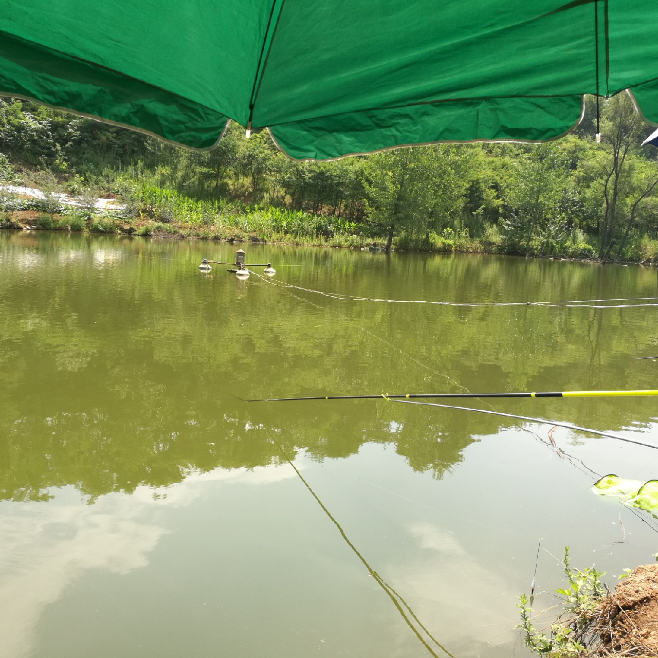 黑坑第二三场钓不到鱼,黑坑鱼竿第二节容易断