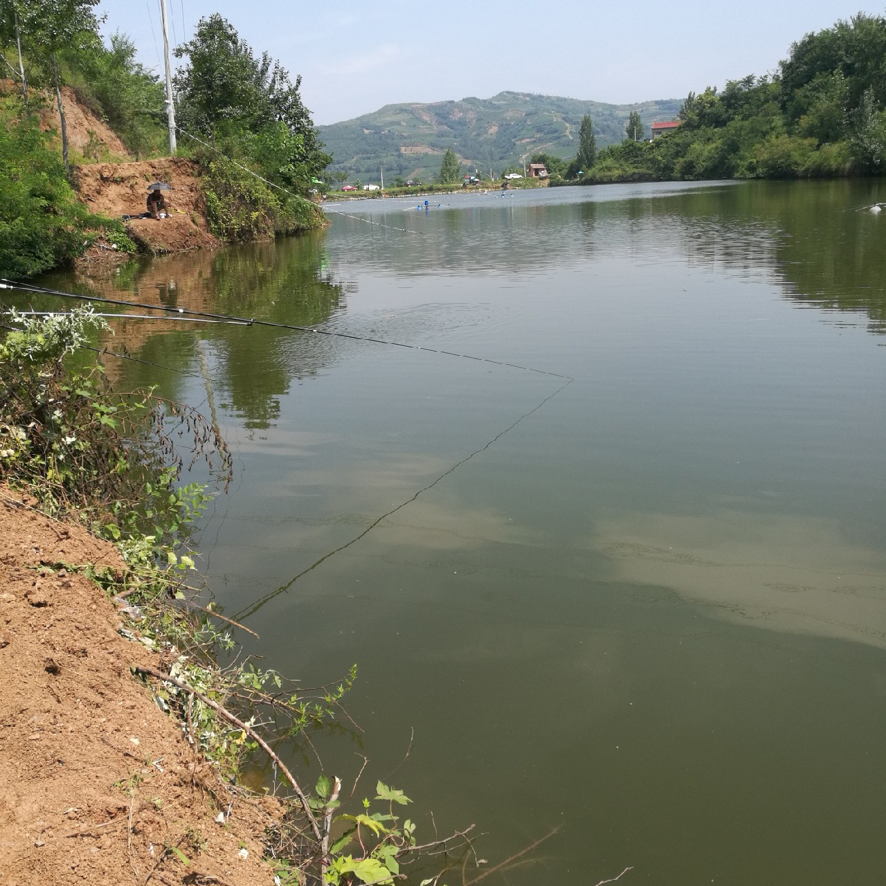 黑坑第二三场钓不到鱼,黑坑鱼竿第二节容易断