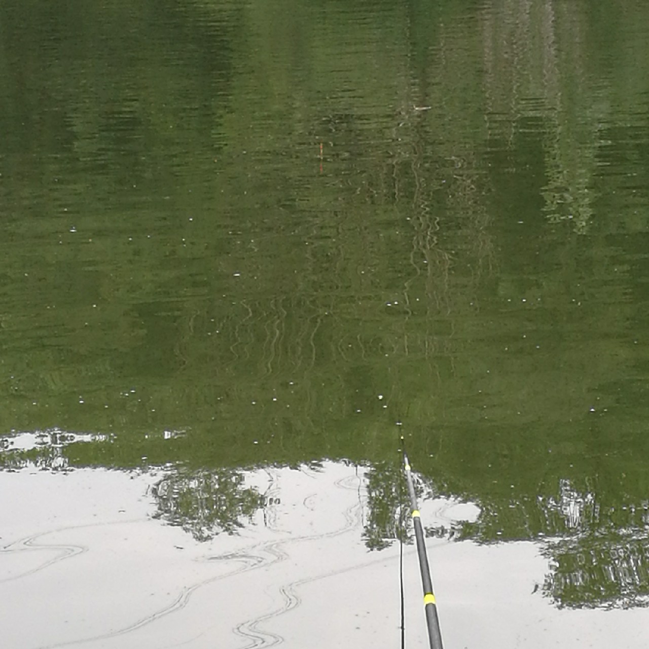 黑坑第二三场钓不到鱼,黑坑鱼竿第二节容易断