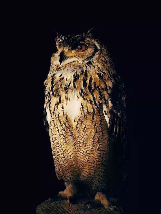 手机摄影大师级作品,手机拍出的大片风景摄影作品