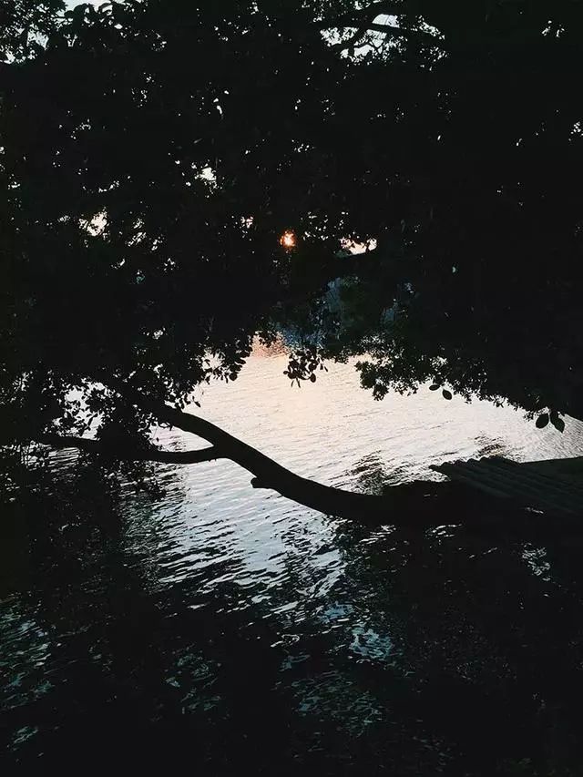 手机摄影大师级作品,手机拍出的大片风景摄影作品